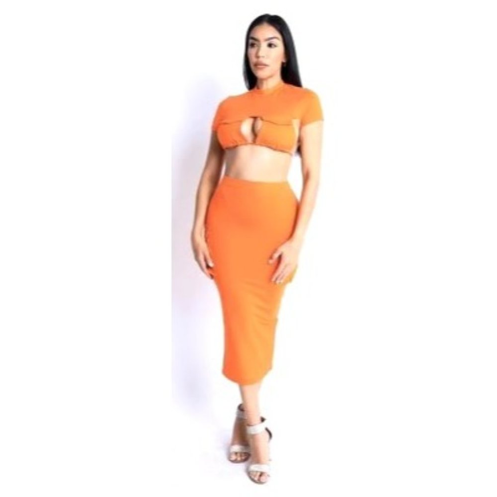 Orange Crop and Long Skirt Set